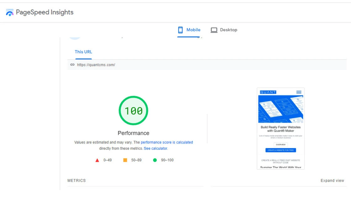 PageSpped Insights Quant Metric
